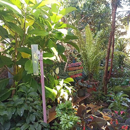 Suites Pico Do Cristal Caparao Velho Екстер'єр фото
